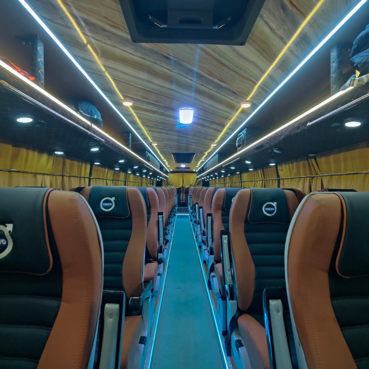 Bus Seats